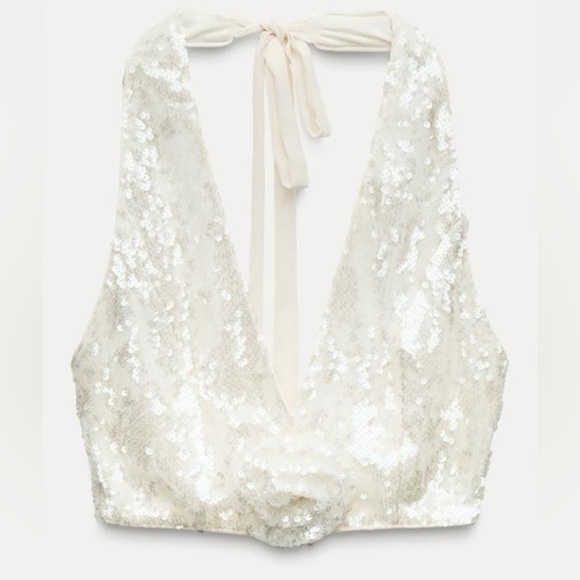 ZARA NWT 🎄SEQUIN HALTER TOP SIZE L
🚨FIRM PRICE NO DISCOUNT - Picture 6 of 11